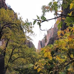 Meet your Posher, Layton